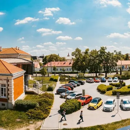 Apartment Ah Radnica